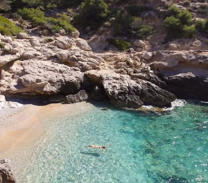 Nervous System Reset